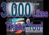 send you 3000 likes to your Facebook fan page in less than a day