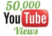 give you guaranteed  50000+ youtube views to your video in 24 hours
