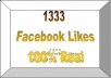 give you 1333  Facebook Likes, 100% Real