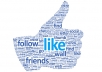 get real facebook like on page, photo, post 3000+ in 24-48 hours max