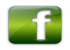 SURELY** provide you* 300 *REAL & Guaranteed facebook like for yourfacebook fan pages only