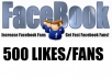 Give You 500+ *High Quality & Staying* Facebook Likes