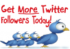 Get you 696+ Twitters Followers on your website