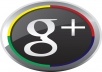 give you 55 real google + in your blog/site 