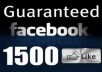 I will provide Real Human Verified 1000+ High Quality Facebook Likes for your any Fanpage within 7 days only