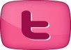 add 29000 plus AA Twitter Followers To Your TwitTer Profile Follow In 33 Hrs