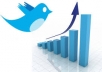 give you 600 twitter followers 100% real and safe for your account 100% manually done only