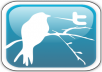 add 22000 High Quality real looking permanent twitter followers to your twitter account in less than 27 hours