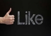 I will provide Real Human 3000+ High Quality Facebook Likes for your any Fanpage within 20 days only