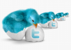 provide 16000 twitter follower with out needing password