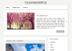 SIMPLE&CLEAN WordPress 