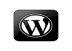 I will fix Your Wordpress Problem or Error or Issue