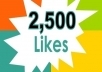 provide you 2500++ High Quality Facebook Likes on you website