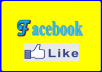 DELIVER 3500 + Facebook Like Fan Page Without Password