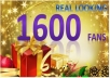 give you Express 1600+ USA High quality Real looking with Profile Pictures Facebook Likes/Fans to any Fanpage within 24 hours