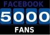 provide 5000+ USA Facebook likes to your fanpage in less than a day