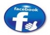 I Will Give You *700* You Facebook Fans Likes on your page only