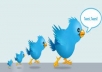 add 22000 plus A Twitter Followers To Your TwitTer Profile Follow In 23Hrs