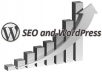 i will do Wordpress Installation & Customization Service