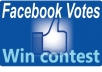 manage 100 facebook vote for any contest,website even photo