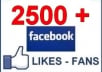 add 2000+ permanant facebook likes Guaranteed