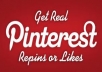 Get you 200+ Pinterest followers, robotick software use, only