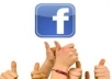 provide 20,000++ High Quality Facebook Likes on you website