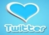submit you 799+1 Twitter Followers 100% real and active on your account