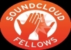 provide you 799++ SoundCloud Followers 100% genuine on your account
