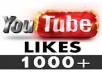will provide You, Real Human Verified 1000+ High Quality YouTube Video Likes  for your any YouTube Video within 6 days only