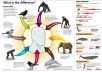 I will give you my collection of 500+ Infographics Very High Quality and Completely EDITABLE 