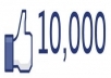 give you 10000+ ( Permanent) Facebook Fans/Likes 100% real & active on you website