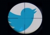 provide 200 verified twitter accounts with mails login details