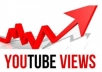 will deliver 50,000 youtube views CHEAPEST ON SEOCLERKS