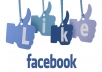 I will deliver 5000+ High Quality Facebook Likes To Your Fanpage within 2 days