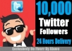 ADD 10,000+ Twitter FOLLOWER To Your Profile Within 24 Hours 