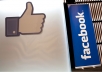 give you 532+ facebook likes,100% real and active user