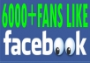 6,000+ Real looking active facebook likes to your fan page