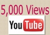 I will deliver 5,000 Views to your Youtube videos