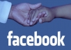 give 1400+ permanent facebook likes on your fanpage fastly