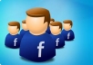 get 1400++ USA Guaranteed Facebook fans and likes, no admin access needed in 18hours ^_^!~!!☺!!!!!!!!!!