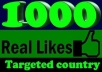  will add 1000+[Real] Facebook like to your facebook likes fan page,no fake,no bot