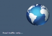 drive100 real human visitors from USA to your site everyday for 30 days