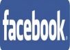 give you 600  Facebook Likes, 100% Real