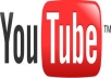 I will provide you 10 YOUTUBE PVA for the promotion of your website.