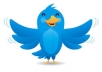  promote/tweet your link or message to my 25,000+ followers on Twitter 