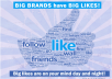 add 500+ Facebook Website likes to your Website or URL