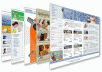 I will create or repair your full website