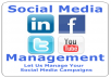 Manage Your Social Network Accounts, Facebook, Twitter, Pinterest, Linkedin on a Daily Basis