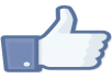 Get 1000 Real Facebook Likes Targeted Only 